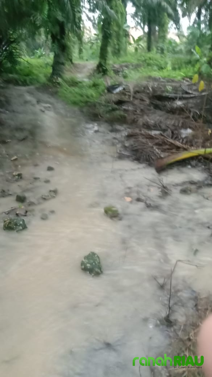 Perekonomian terganggu, Pemilik lahan terdampak Pencemaran minta tanggungjawab ke RAPP